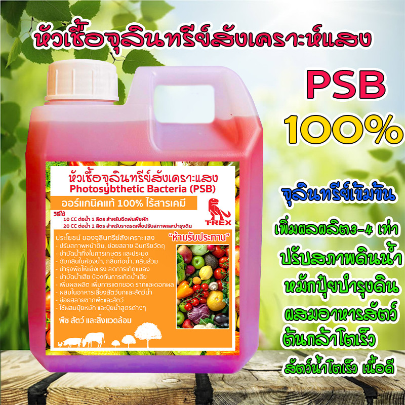 "จุลินทรีย์ PSB สูตรเข้มข้น ขยายเชื้อได้ บำรุงต้น ผล ใบ ใช้ในบ่อปลา บำบัดน้ำเสีย"