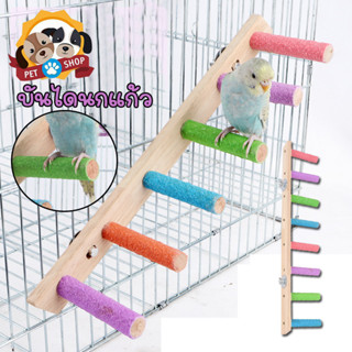 บันไดนกแก้ว ของเล่นนกแก้ว ของเล่นแขวนกรง ของเล่นฝึกนก บันได …