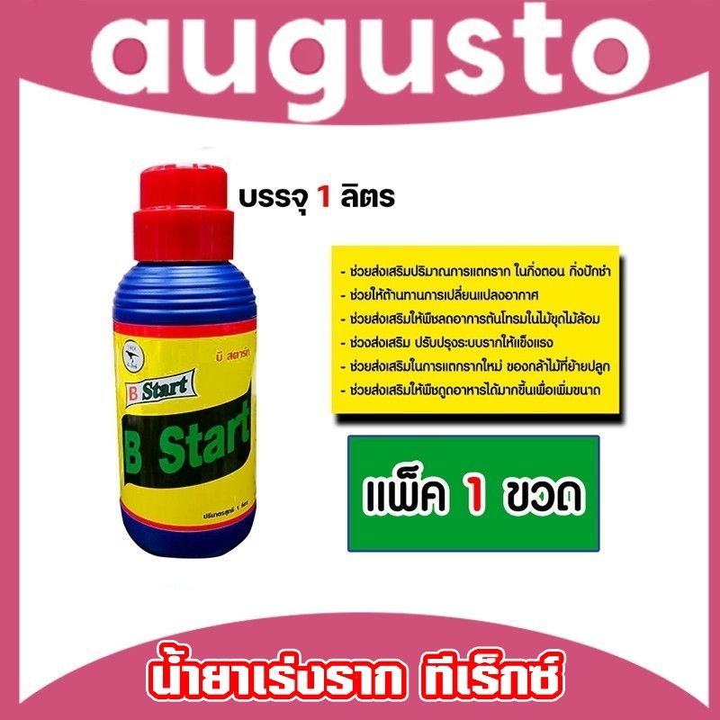 น้ำยาเร่งราก ทีเร็กซ์ วิตามินบี-1 B1 มีให้เลือก ขนาด1ลิตร/4ลิตร (Root supplement)บีวัน-สตาร์ท