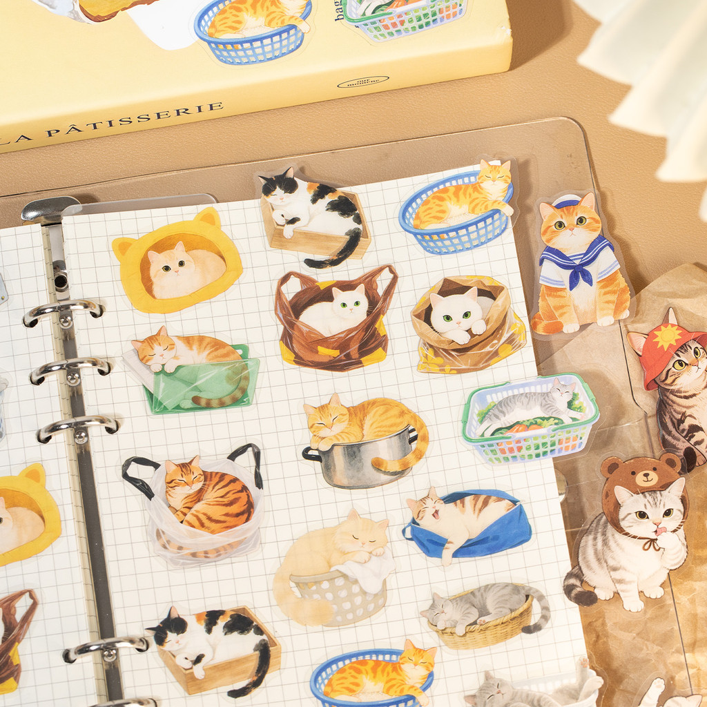 Back To SchoolMr. กระดาษ 30 ชิ้น PET Cat สติกเกอร์แพ็คกันน้ํารูปแบบน่ารักสติกเกอร์สําหรับบัญชีมือ DIY ตกแต่ง Collage ราคา ถูกที่สุด ดีลบีเคเค แกลเลอรีภาพที่ 3