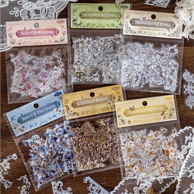 Corner Sticker Museum series หมึกขาว PET สติ๊กเกอร์กิจกรรมในความคืบหน้า