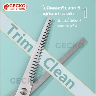 ชุดกรรไกรตัดผม กรรไกรตัดผมสแตนเลส กรรไกรตัดหน้าม้า กรรไกรซอยผม กรรไกรตัดผมหัวแบน ชุดตัดผมใช้ในบ้าน 3 ชิ้น