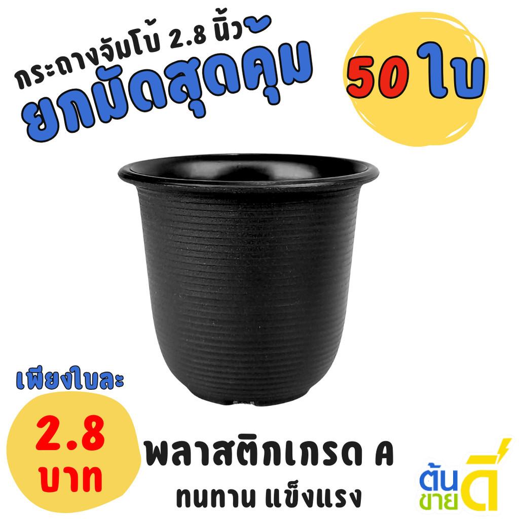 กระถาง กระถางแคคตัส เกลียว 2 2.8 3 นิ้ว สีดำ Bundle 50 ใบ ชิ้น อัน