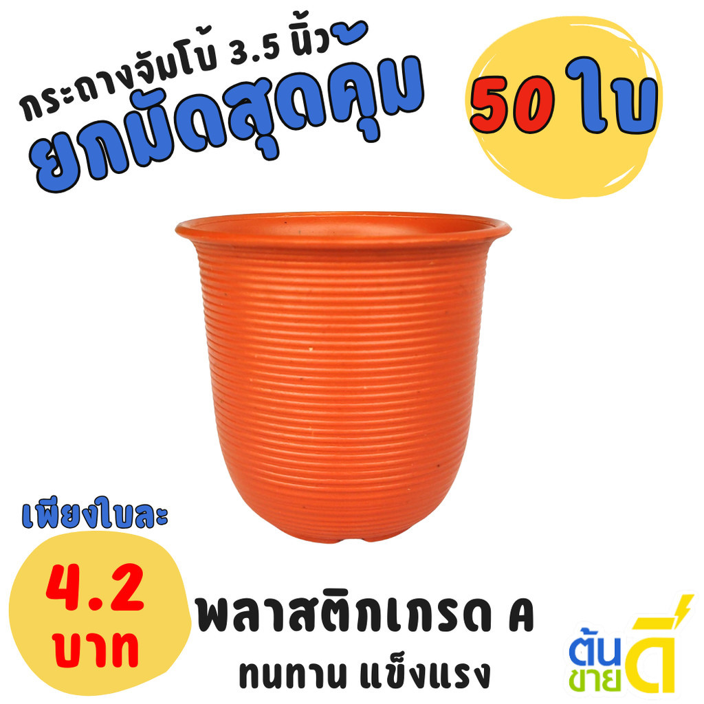 กระถาง กระถางแคคตัส เกลียว 3 3.3 3.5 นิ้ว สีอิฐ Bundle 25 ใบ ชิ้น อัน