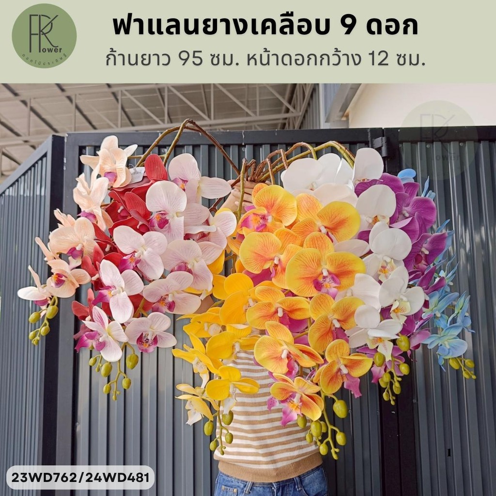 ฟาแลนยางเคลือบ9ดอก ช่อดอกไม้ประดิษฐ์ ดอกไม้ตกแต่งบ้าน ช่อฟาแลนปลอม ของตกแต่งงาน ของตกเเต่งคาเฟ่