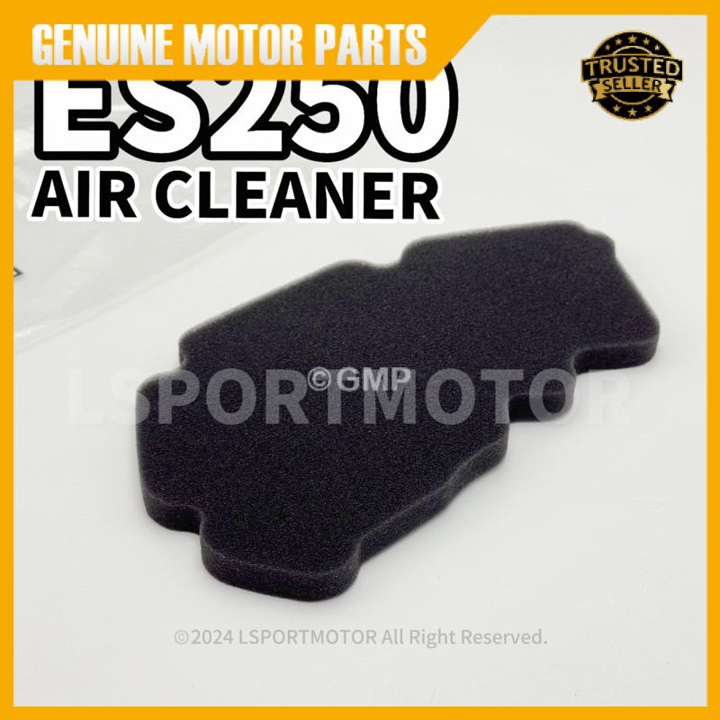 WMOTO ES250 AIR CLEANER กรองอากาศ (STANDARD) W MOTO ES 250 ES250