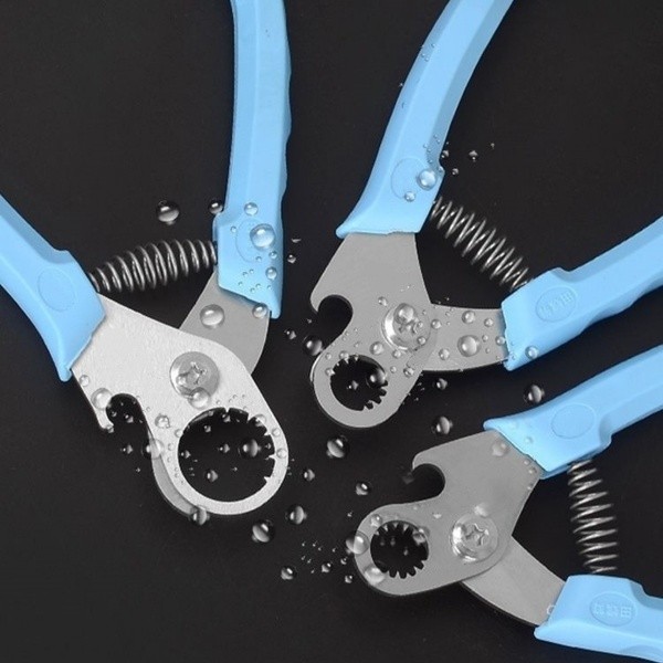 กรรไกรหอย 2 in 1 ที่ตัดก้นหอย เครื่องมือตัดพิเศษสำหรับตัดร่องก้นหอยทากตัดหางสิง ตัวช่วยตัดก้นหอยขมได้อย่างรวดเร็ว - รูปที่ 3