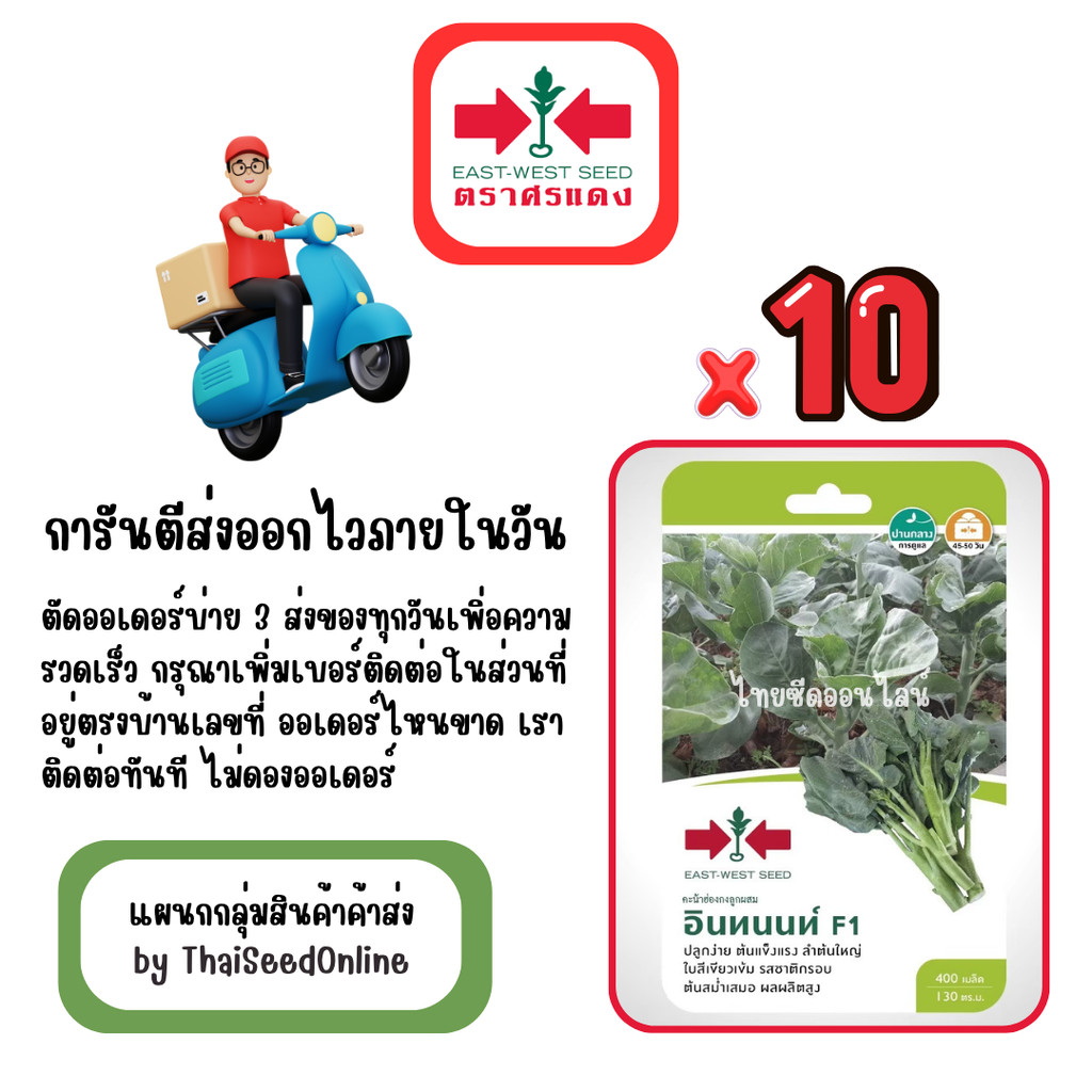 GG x 10 เมล็ดผักซองศรแดง แคนตาลูป คันไซ สินค้ายกแพ็ค