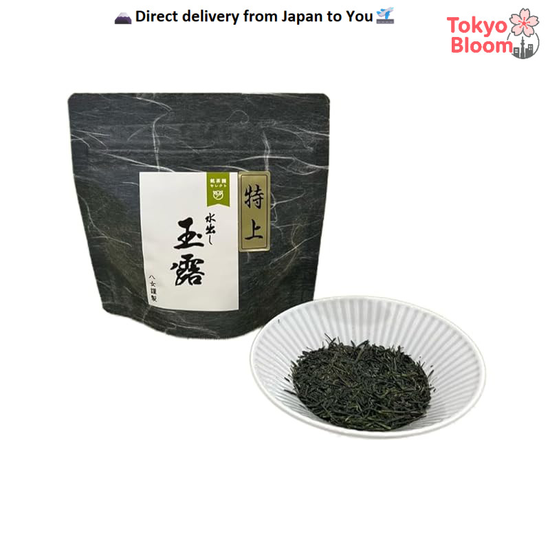 Premium Yamcha, Fukuoka Prefecture - Top Grade Gyokuro, Iced Sencha 50g, Gift Packaging with Unryu B