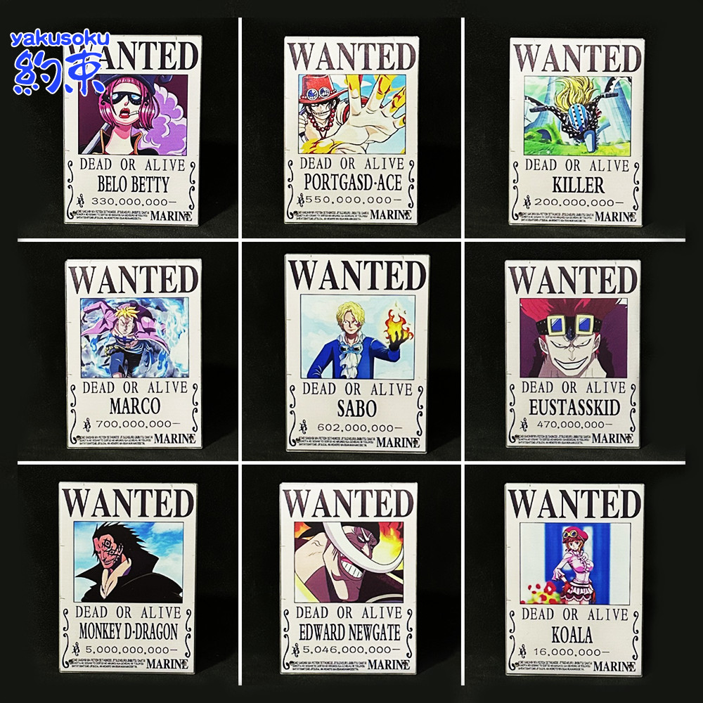 ไม้ประดับ ACE SABO KILLER KID BETTY MONKEY D DRAGON KOALA MARCO