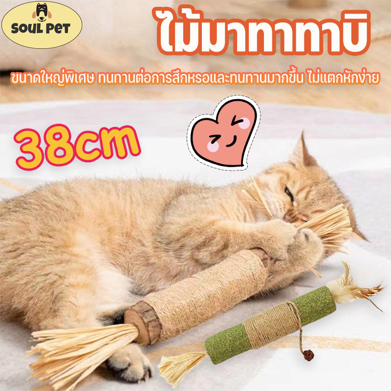 ไม้มาทาทาบิ (38cm) อันใหญ่มาก ขัดฟันไม้ ไม้ขัดฟันแมว ของเล่นแมว ก้านมาทาทาบิ ไม้แปรงฟันแมว