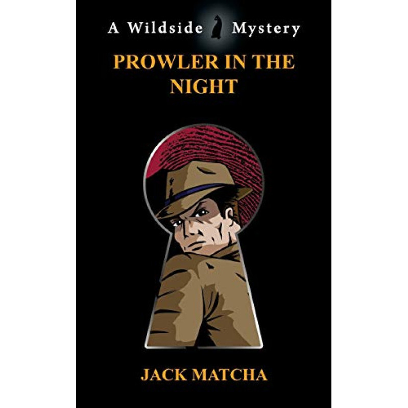 Prowler In The Night - หนังสือปกอ่อน - อังกฤษ - 9781479448166