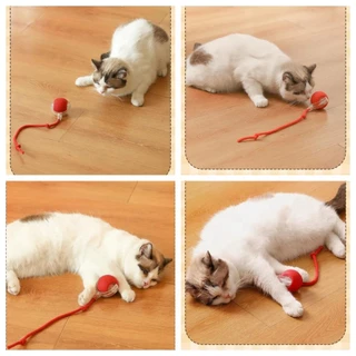 FOR_PET ของเล่นแมวลูกบอลแมวอัติโนมัติ สมาร์ทไฟฟ้า หมุนได้ 360 องศา ของเล่นแมวโต้ตอบ การชาร์จ USB