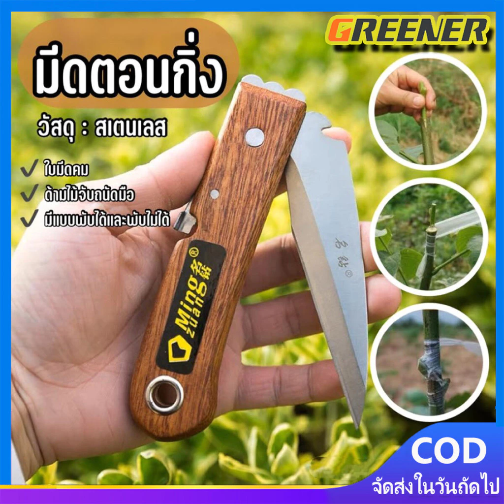 Greener มีดตอนกิ่ง ติดตา ชำกิ่ง ขนาด 7.5 - 8 นิ้ว ม้วน วัสดุทำจากใบมีดสแตนเลส ปลายแหลม คม