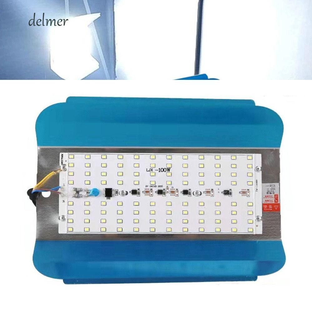 DELMER ไอโอดีน-Tungste Light โคมไฟสวนทนทาน 50W 100W กันน้ํา 6500K 220V ไฟ LED