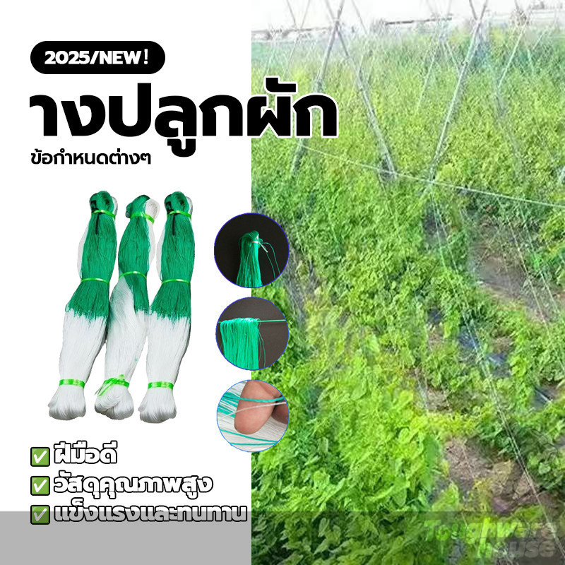 Benmax ตาข่ายปลูกพืชผัก ตาข่ายแตงกวา ค้างปลูกผัก ค้างผัก 2x100เมตร ตาข่ายปลูกผัก อวนแตง ตาข่ายไม้เลื้อย ปลูกผักเลื้อย