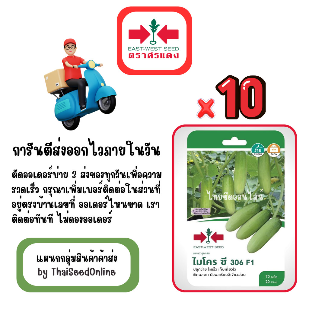 GG x 10 เมล็ดผักซองศรแดง ไมโครซี306 แตงกวา สินค้ายกแพ็ค