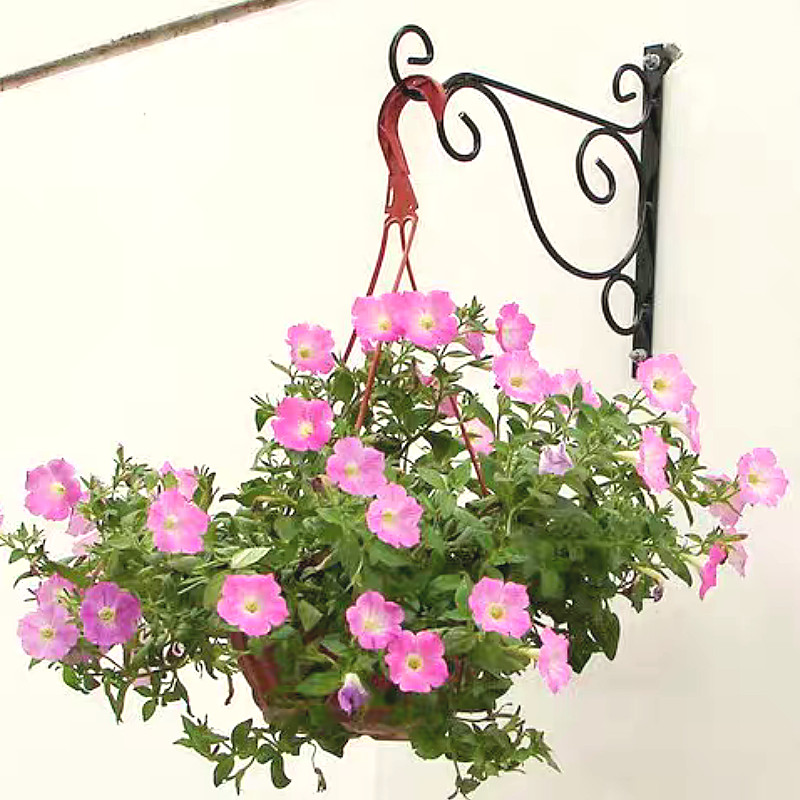 ตะขอแขวนกระถางต้นไม้ สไตล์ยุโรป แข็งแรงใช้ซ้ําได้ ตะขอเหล็กแขวนพืช สําหรับแขวนผนังกลางแจ้ง