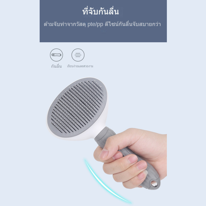 รูปภาพ 7