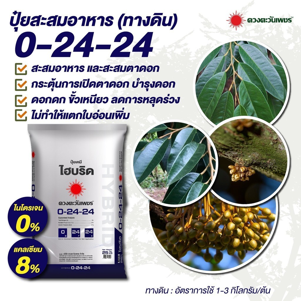 (ยกกระสอบ25kg) ปุ๋ยไฮบริด 0-24-24 สำหรับเปิดตาดอก กดใบไม่มีไนโตรเจน ลดการแตกยอดอ่อน เร่งดอก ดวงตะวัน