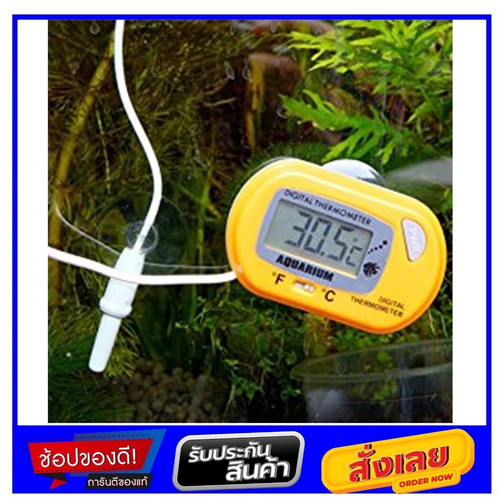 SUNSUN เทอร์โมมิเตอร์ วัดอุณหภูมิน้ำ Centigrade and Fahrenhiet Digital Thermometer Yellow Colour