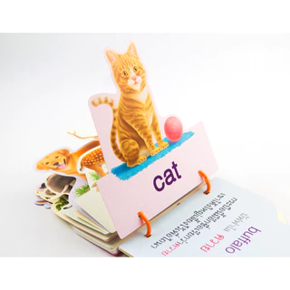 แฟลชการ์ดชุด Flash Card ของหนู 6 เรื่องพื้นฐานต้องรู้