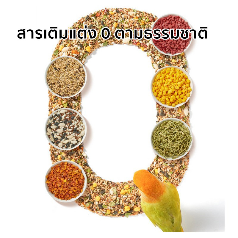 COD อาหารนกแก้ว 500g อาหารนกแก้วฟอพัส อาหารนกแก้วกรีนชีค อาหารนกเฉพาะ เหมาะสําหรับ  อาหารนกค๊อกคาเทล - รูปที่ 2