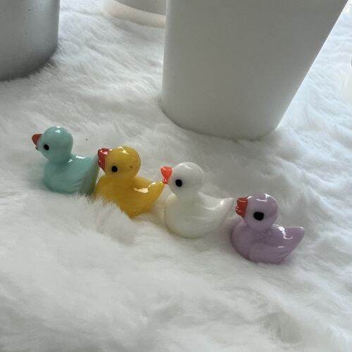 พร้อมส่งในไทย! ตุ๊กตาจิ๋ว เป็ดหลากสี  – ตกแต่งสวนถาด/เค้ก/บ้าน DIY ใช้งานสะดวก G2920 ราคา ถูกที่สุด ดีลบีเคเค แกลเลอรีภาพที่ 8