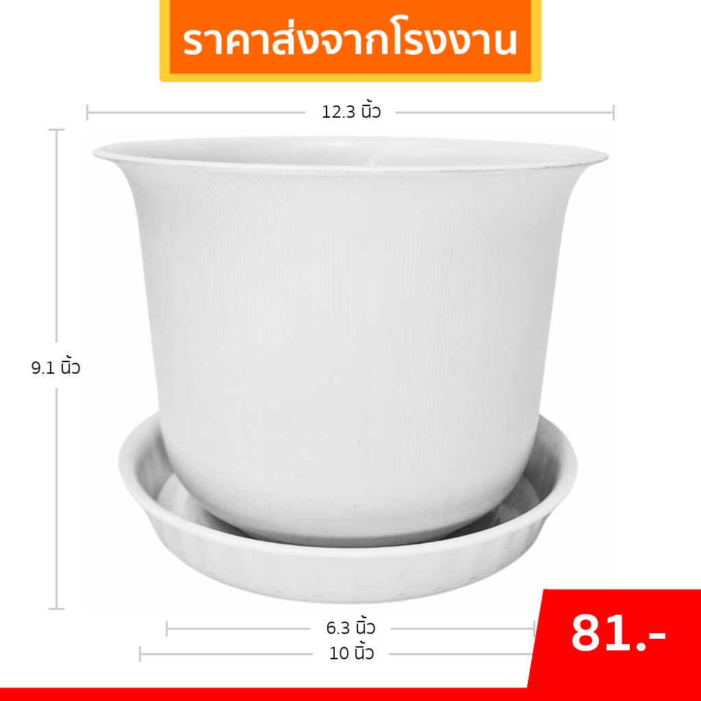 กระถาง กระถางต้นไม้ มินิมอล ถ้วยจีน+จาน ขนาด 12 นิ้ว สีขาว สีเทา สีอิฐ สีโอ๊ค สีเขียวพาสเทล Bundle 5 ใบ ชิ้น อัน