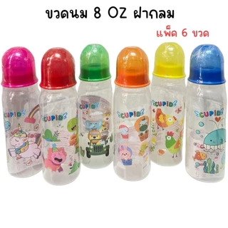 (ยกแพ็ค 6 ขวด) ขวดนม CUPID 8oz , 4oz , 2oz พร้อมจุก