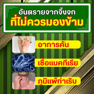 ครีมกำจัดจิ้งจกลุงเอ็ม แพ็คเกตใหม่ ใช้งานง่ายกว่าเดิม เข้มข้นขึ้นกว่าเดิม !!!! จำนวน 1 หลอด -