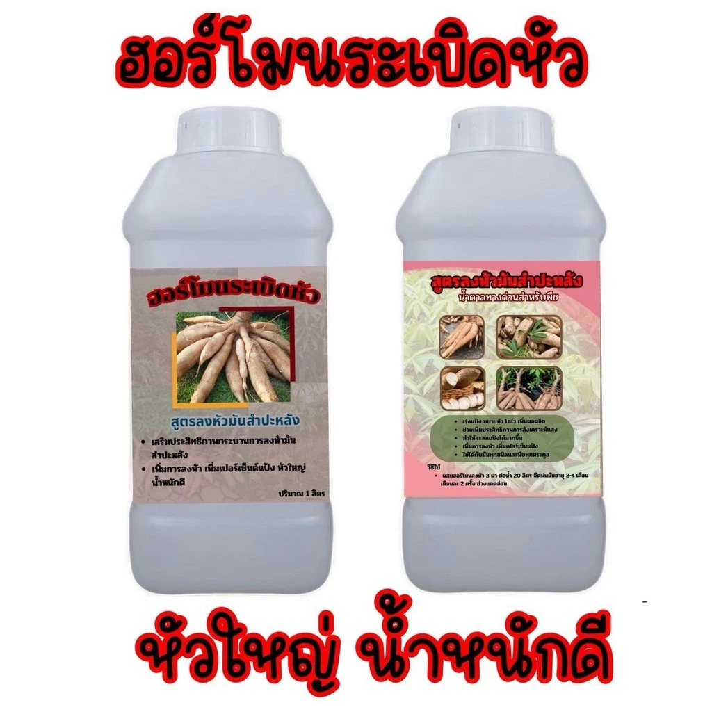 โปร 1 แถม 1 299.- ฮอร์โมนระเบิดหัวมันสำปะหลัง หัวใหญ่ น้ำหนักดี ผลผลิตงาม พร้อมส่ง เก็บปลายทาง ปุ๋ย อินทรีย์