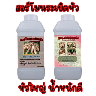 โปร 1 แถม 1 299.- ฮอร์โมนระเบิดหัวมันสำปะหลัง หัวใหญ่ น้ำหนักดี ผลผลิตงาม พร้อมส่ง เก็บปลายทาง ปุ๋ย อินทรีย์