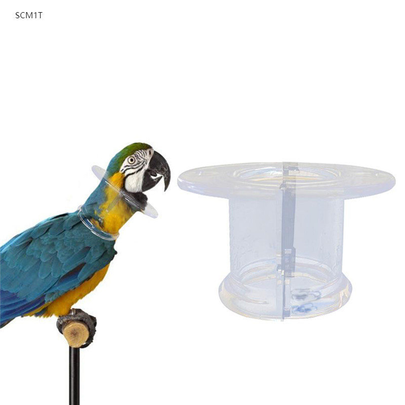 SCM1T-Pet Parrot Anti Bite Picking Wound Healing ป้องกันคอสําหรับนก