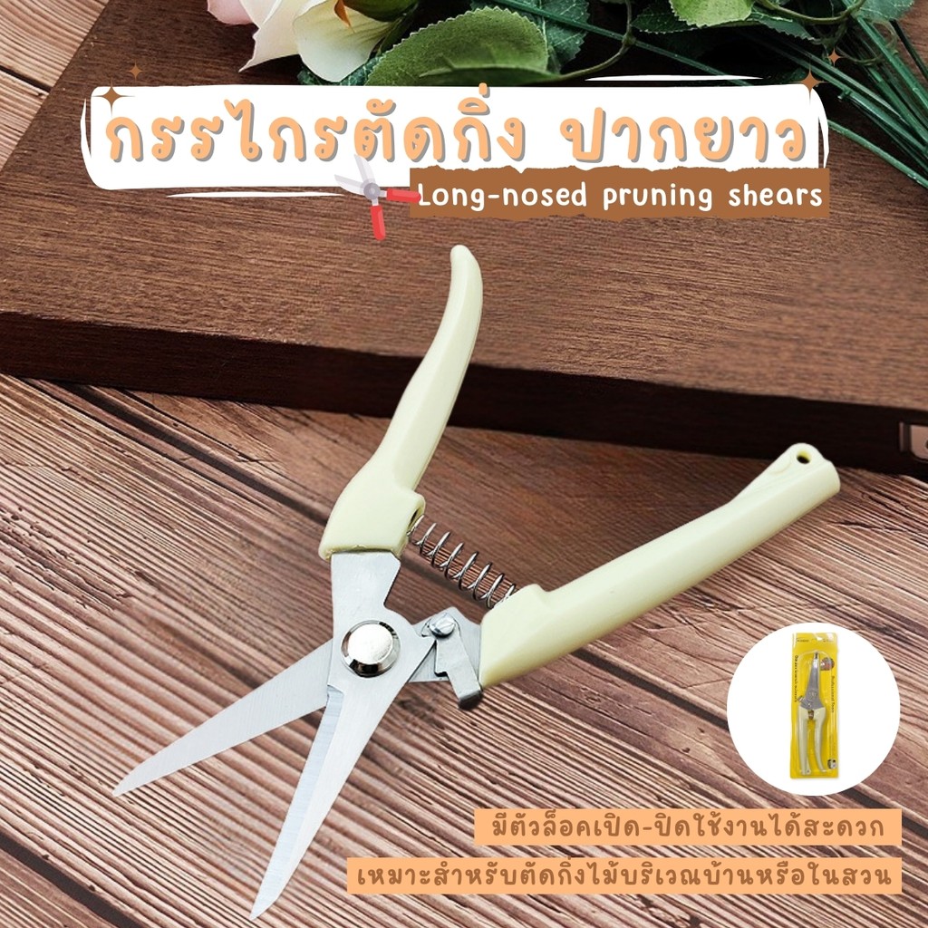 กรรไกรแต่งกิ่ง กรรไกรสแตนเลส กรรไกรสำหรับตัดแต่งกิ่งไม้ ดอกไม้ เครื่องมือจัดทำสวน กรรไกรตัดแต่งกิ่งไม้ เหล็กคุณภาพดี