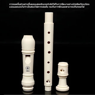 ขลุ่ยรีคอร์เดอร์ Recorder น้ำหนักเบา พกพาสะดวก ใช้งานได้ยาวนาน YRS-23/24