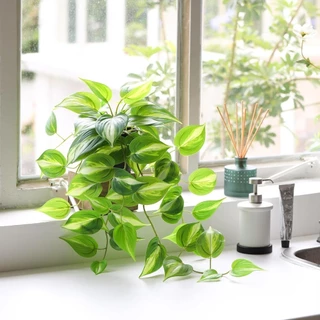 ไม้เลื้อยปีศาจประดิษฐ์ Golden Pothos ต้นไม้ปลอม,แขวนกระถางต้นไม้สําหรับลานบ้านผนังในร่มกลางแจ้งตกแต่ง (H 26in)