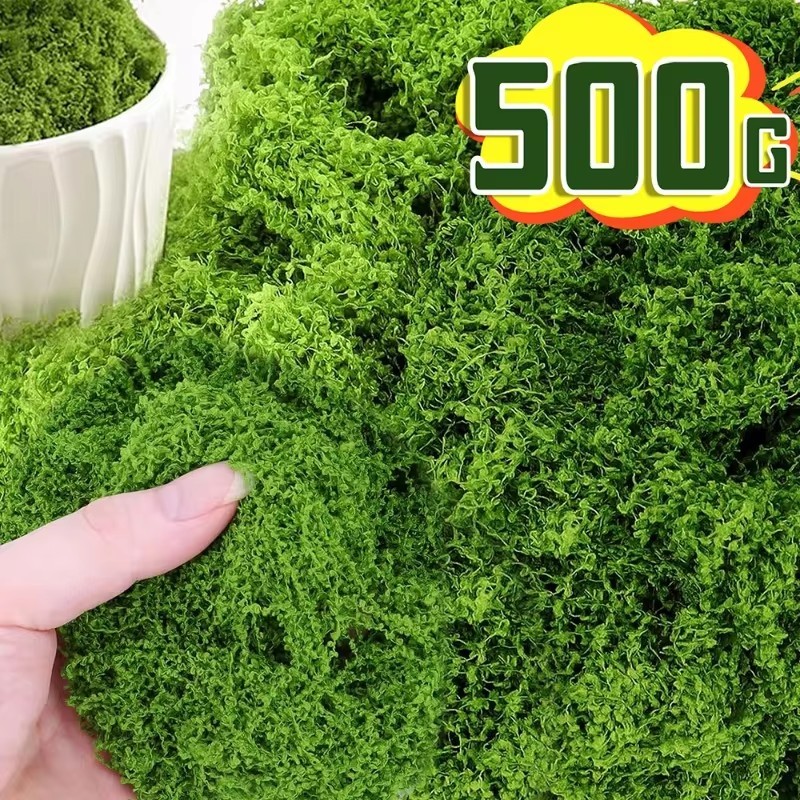 500/100กรัมชีวิตนิรันดร์มอสพืชสีเขียวประดิษฐ์งานฝีมือ ทําเอง หญ้าบ้านห้องตกแต่งสวนมินิภูมิทัศน์ปลอมหญ้าของขวัญ