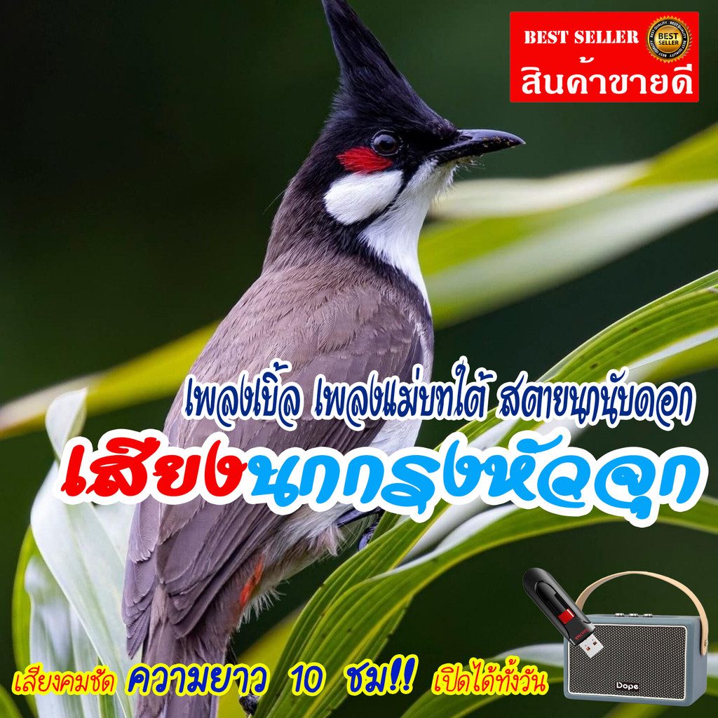 เสียงนกกรงหัวจุก (ชุดที่ 22) เพลงเบิ้ล เพลงแม่บทใต้ สตายนกนับดอก แฟลชไดร์ฟ USB เสียงนกแท้ เสียงดังฟังชัด100%