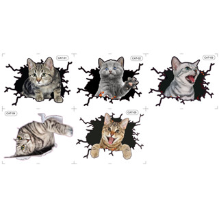 สติ๊กเกอร์ 3D รูป แมว ขนาด 18x20 ซม กาวเหนียวติดแน่น ตกแต่งร…