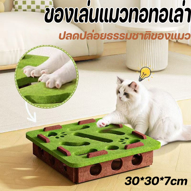 ของเล่นแมวทอทอเล่า ของเล่นแมว รางแมว ไม้ตีแมว ลูกแมว ทนทาน ทนต่อการข่วน ช่วยให้แมวปลดปล่อยธรรมชาติของแมว