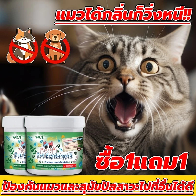 ไล่แมว ก้อนไล่แมว ขับไล่ตลอด 24 ชั่วโมง กันแมวฉี่ ที่ไล่แมว ยาไล่แมว กําจัดแมว ไล่แมวจรจัด