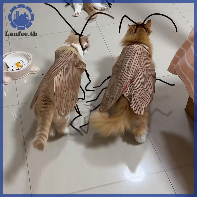 NFE แมวคอสเพลย์แต่งตัวแมลงสาบเครื่องแต่งกายสัตว์เลี้ยง Breathable เสื้อผ้าตลก Party Decor ชุดสัตว์เล