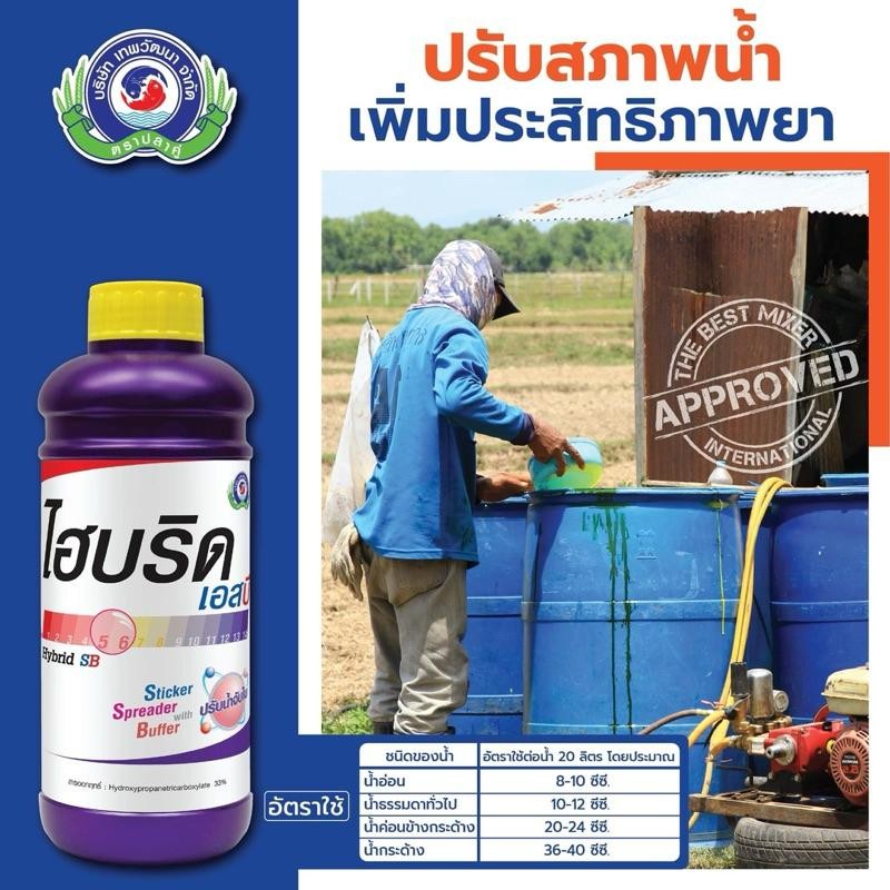 ไฮบริดเอสบี Hybrid SB สารปรับสภาพน้ำ รูปที่ 4