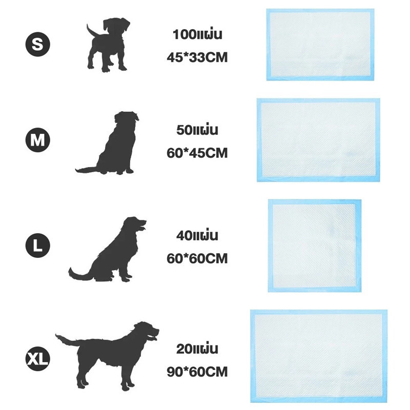 รูปภาพ 8