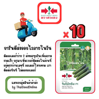 GG x 10 เมล็ดผักซองศรแดง จัมโบ้กรีน แตงร้าน สินค้ายกแพ็ค