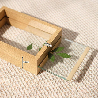 กรอบรูปสองด้าน, กรอบรูปไม้แก้ว, ตารางสร้างสรรค์, กรอบรูป DIY พืช, ความโปร่งใสสูง, อะคริลิค,ของตกแต่งบ้าน