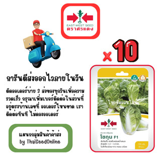 GG x 10 เมล็ดผักซองศรแดง โชกุน ผักกาดขาวปลี สินค้ายกแพ็ค