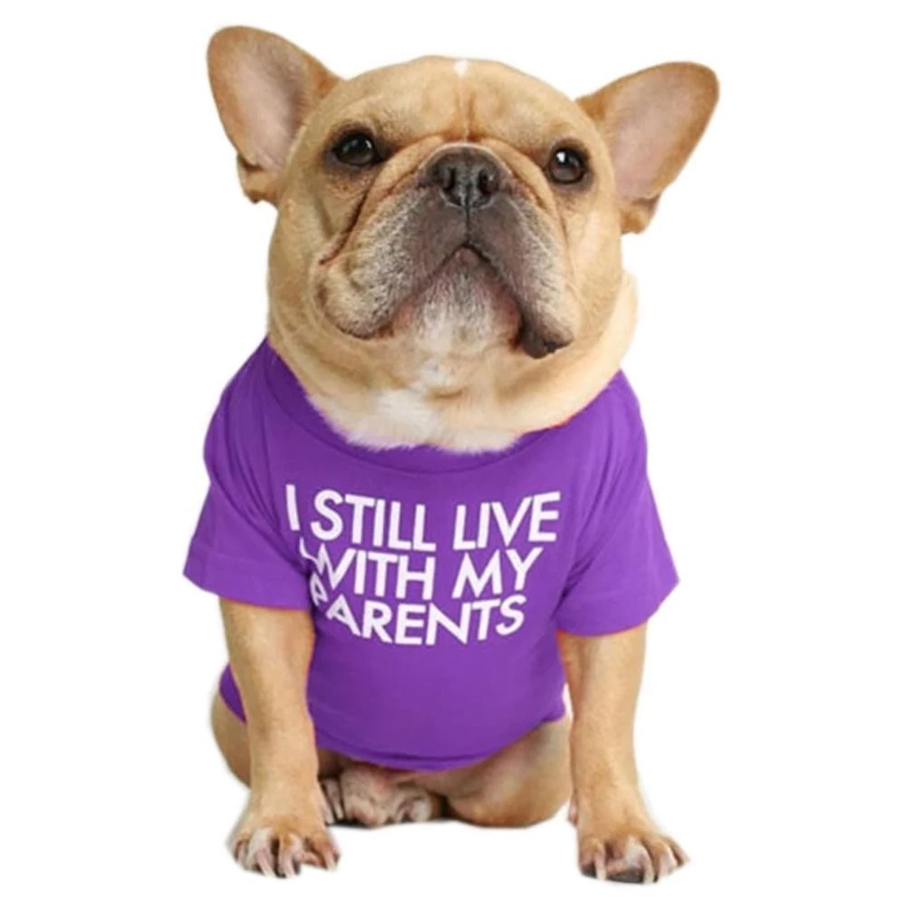 Timekey เสื้อยืดผ้าฝ้ายพิมพ์ลายสุนัข S-2XL สำหรับ French Bulldog thumbnail 3