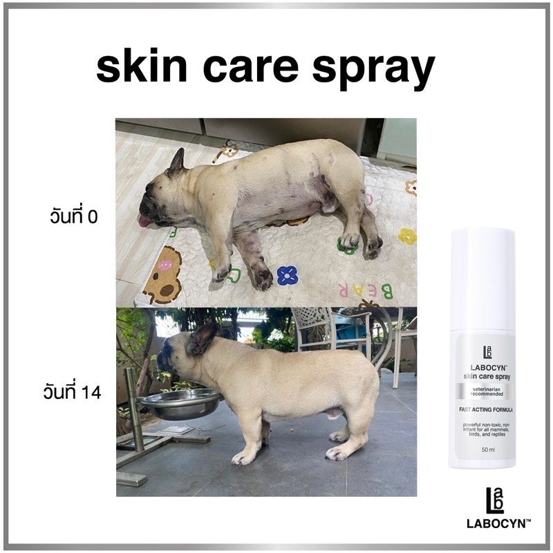 Labocyn Skin Care Spray สเปรย์ดูแลผิวหนัง ขนาด 25-50 ml (หมดอายุ 02/2027) - รูปที่ 3